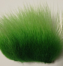 polar bear insect green standart